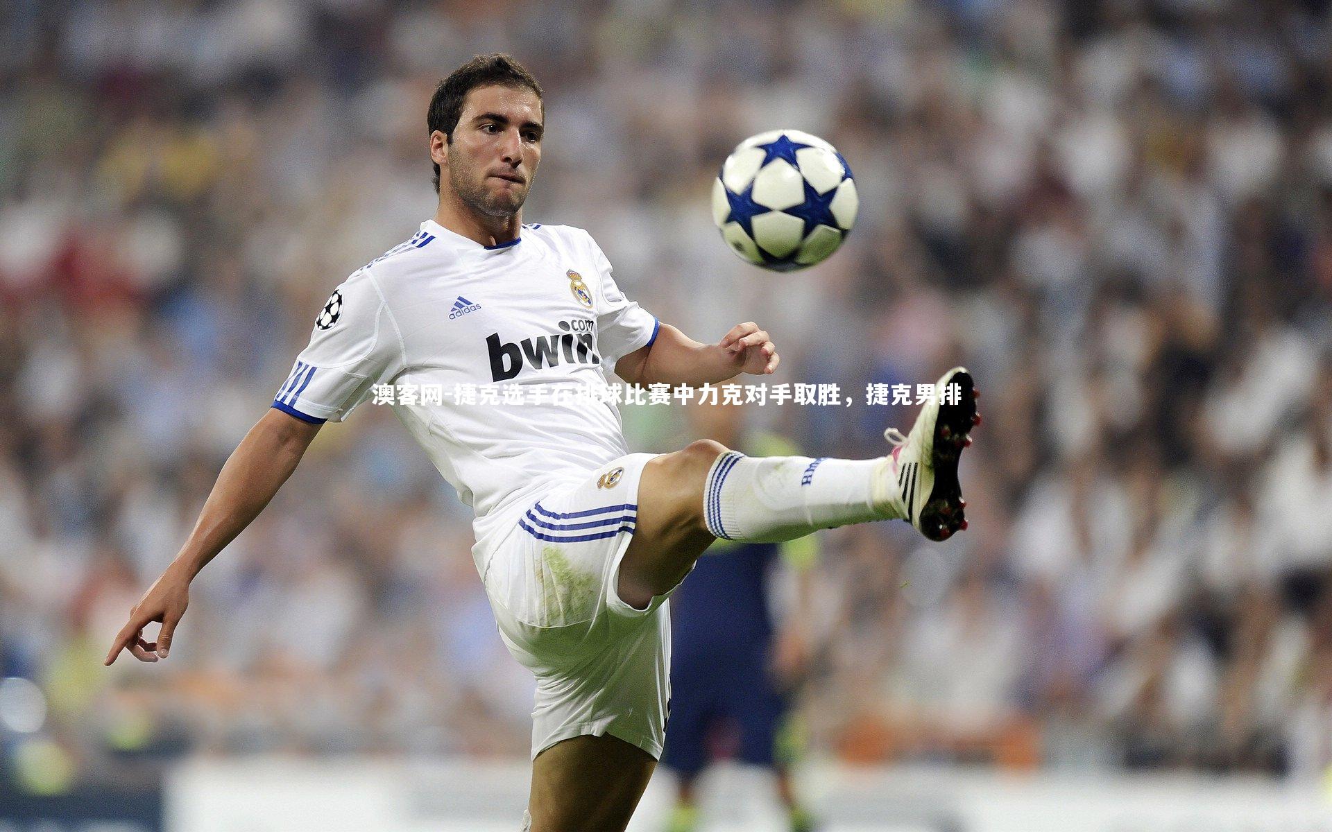 捷克选手在排球比赛中力克对手取胜，捷克男排